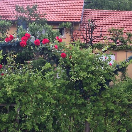 Apartman Lili سيتينيي المظهر الخارجي الصورة