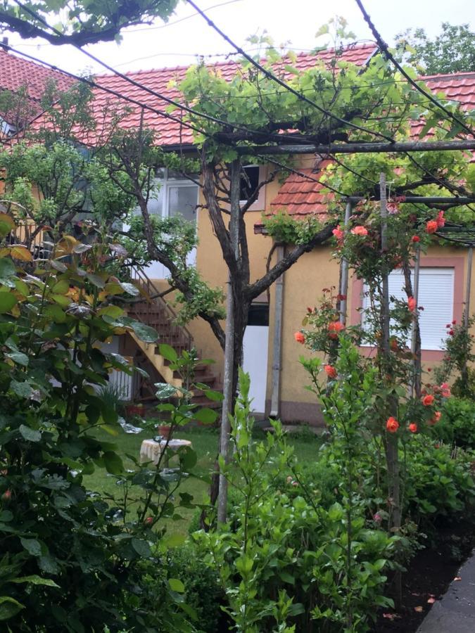 Apartman Lili سيتينيي المظهر الخارجي الصورة